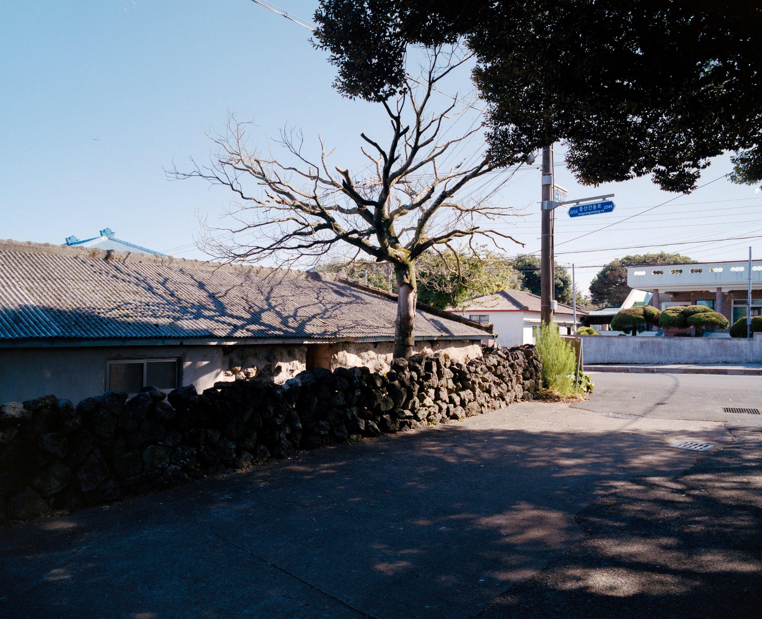 Landscape photograph