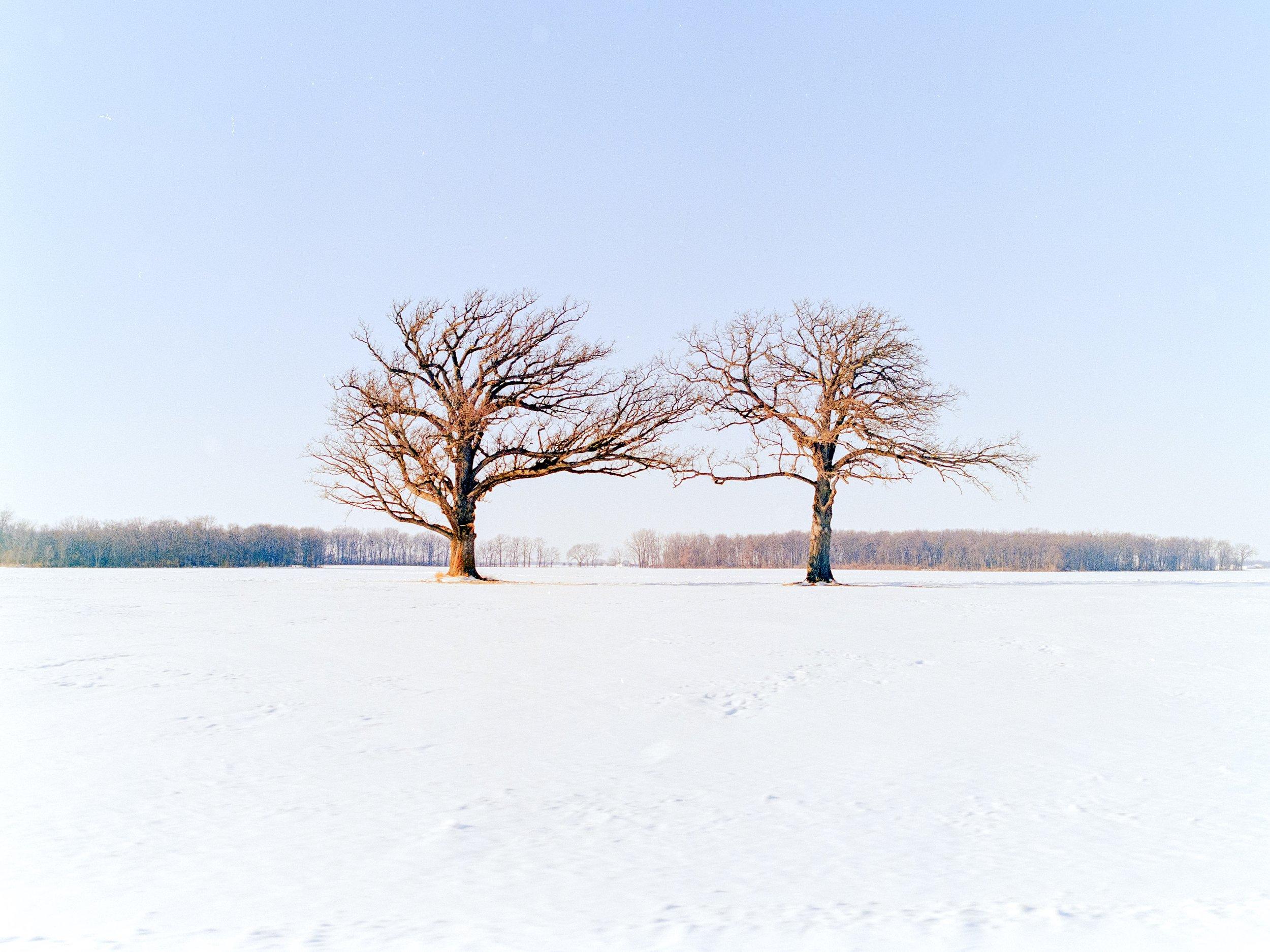 Landscape photograph